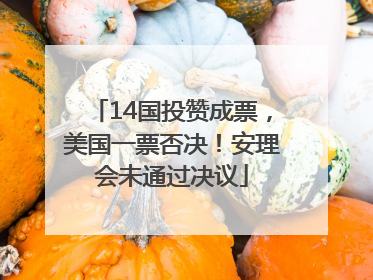14国投赞成票，美国一票否决！安理会未通过决议